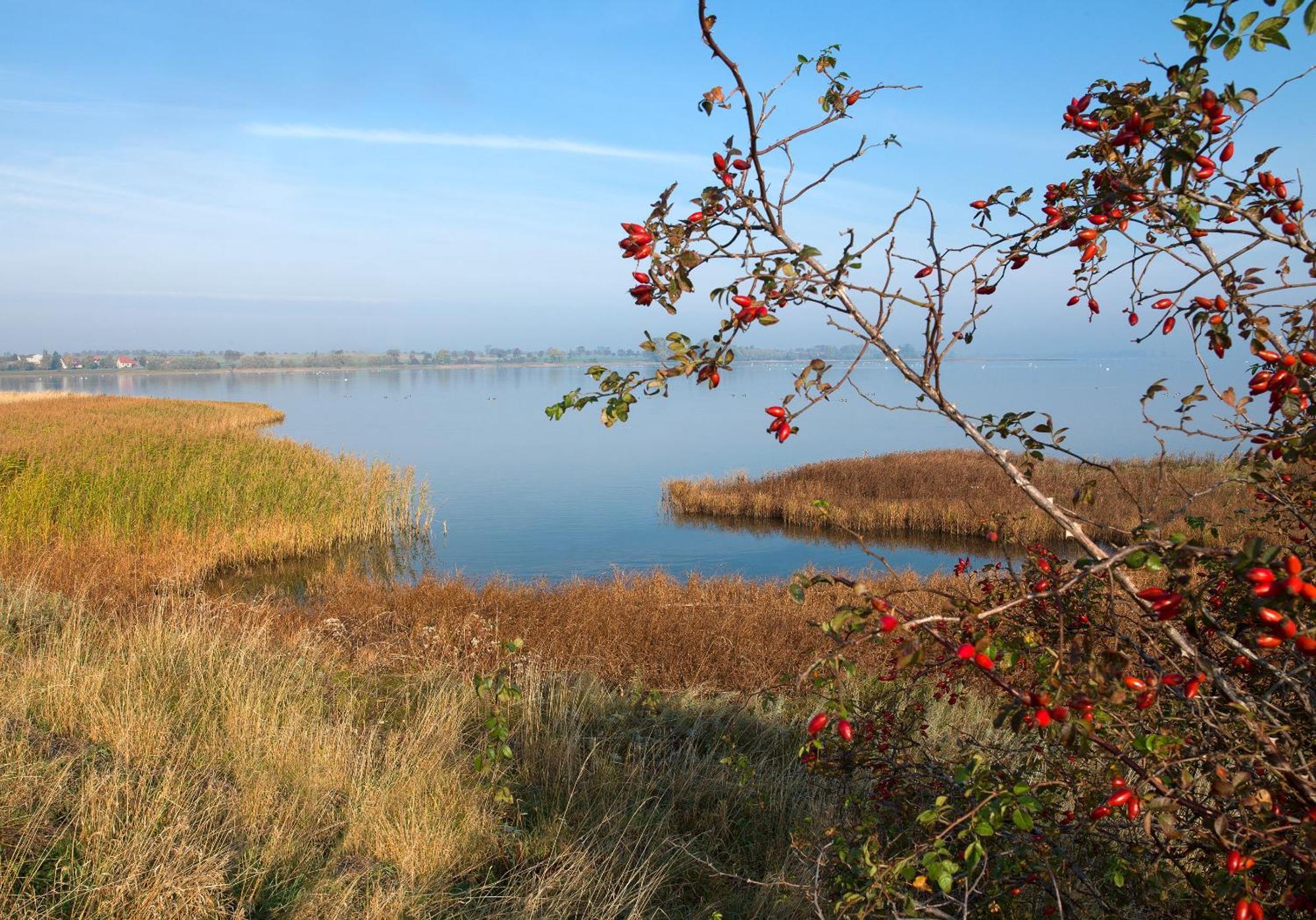 Appartamento Gaude Tiet Insel Poel Esterno foto