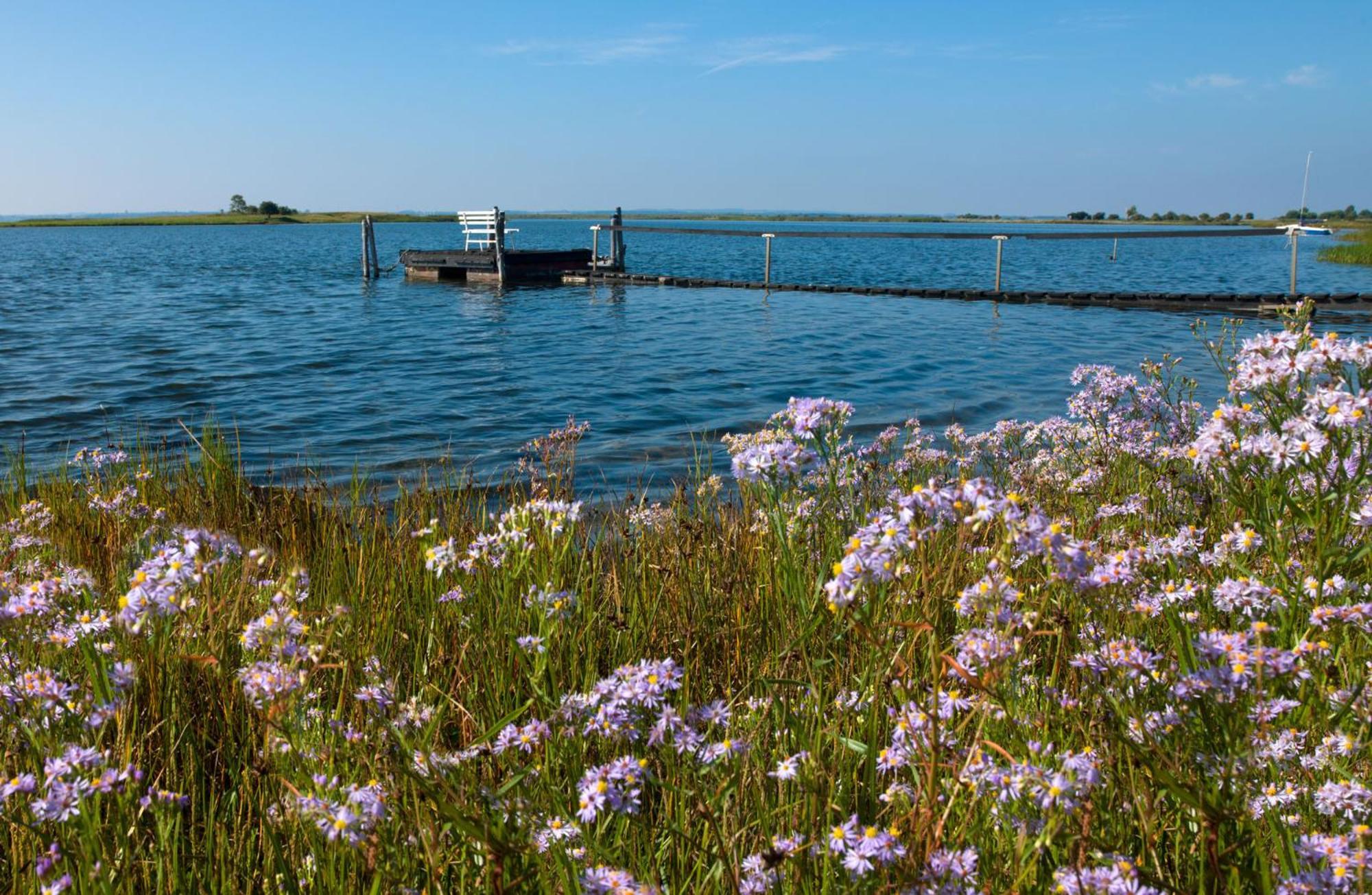 Appartamento Gaude Tiet Insel Poel Esterno foto