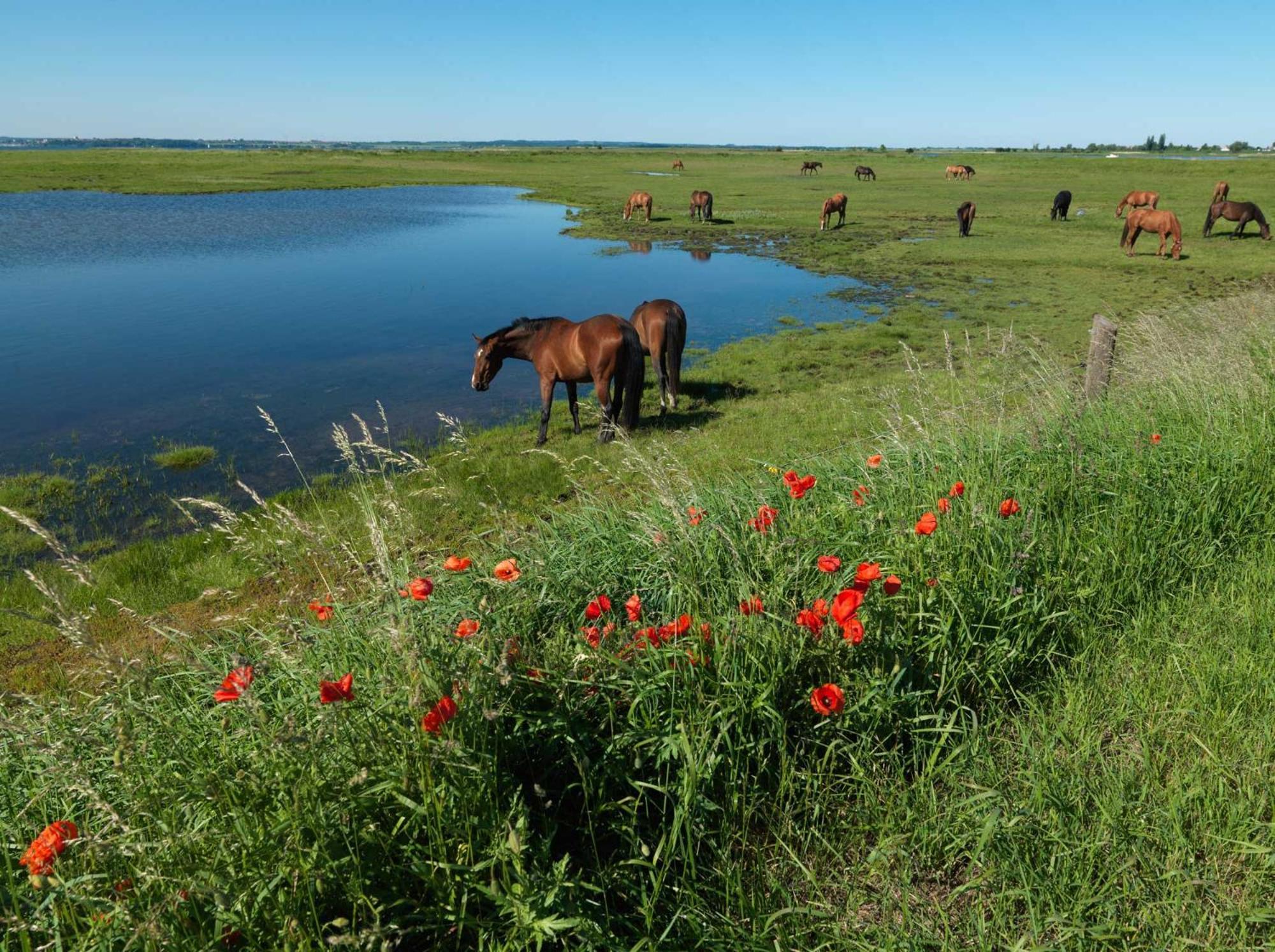 Appartamento Gaude Tiet Insel Poel Esterno foto