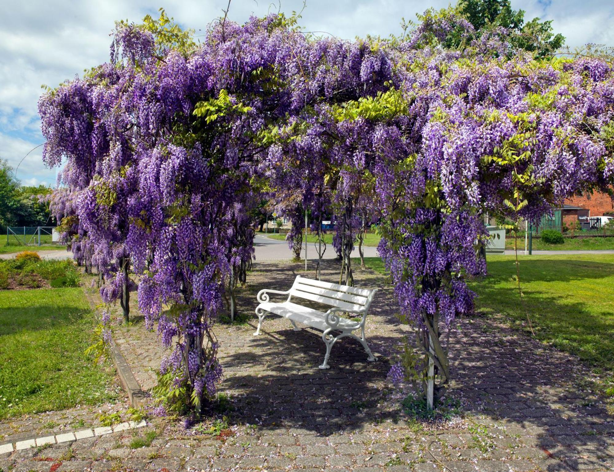 Appartamento Gaude Tiet Insel Poel Esterno foto