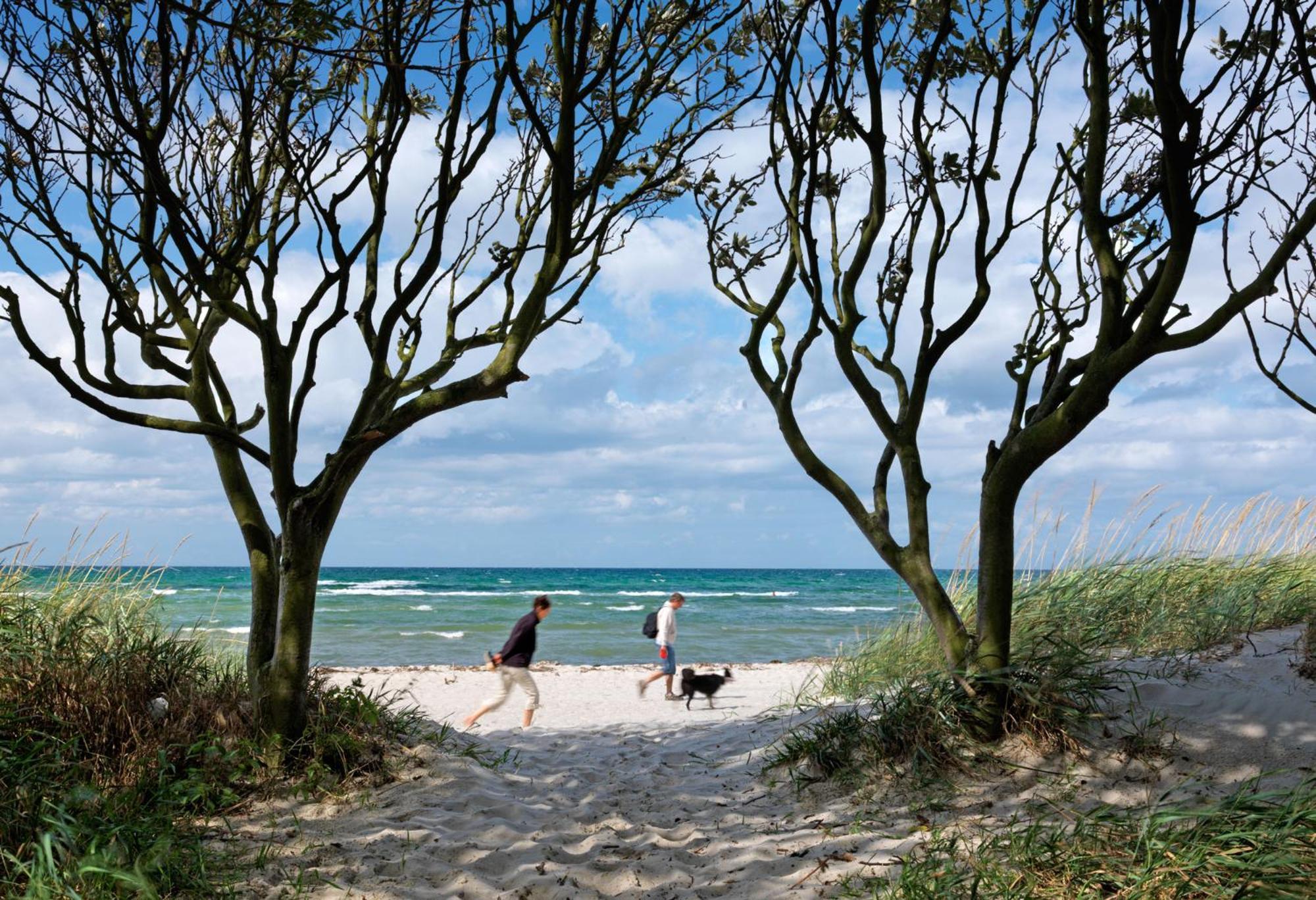 Appartamento Gaude Tiet Insel Poel Esterno foto